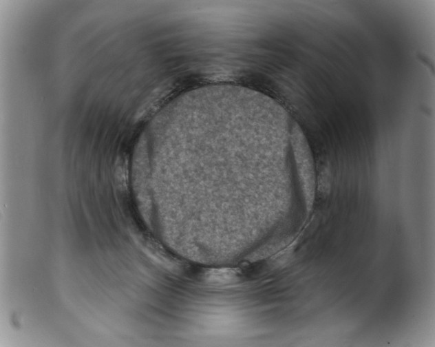 X0000098200179200805221550