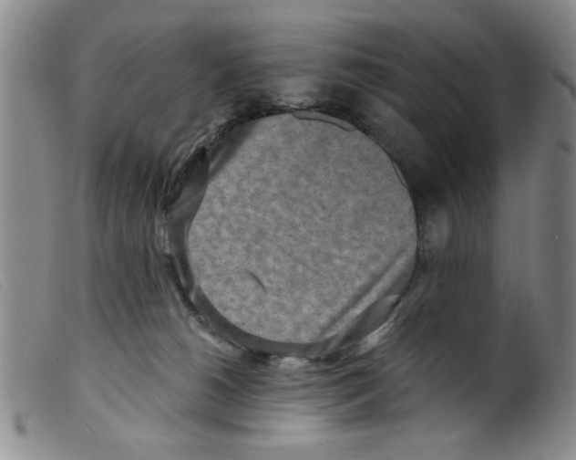 X0000098200180200805221550
