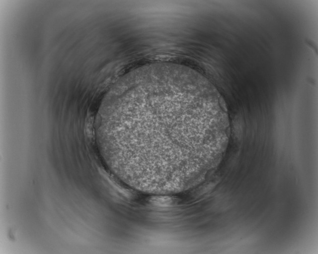 X0000098200181200805221550
