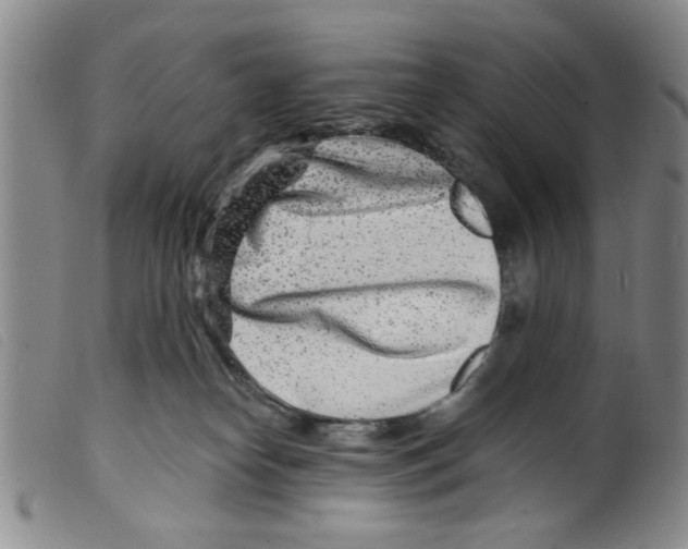 X0000098200182200805221550