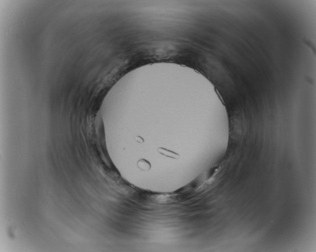 X0000098200184200805221550