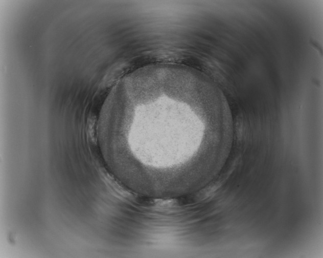 X0000098200185200805221550