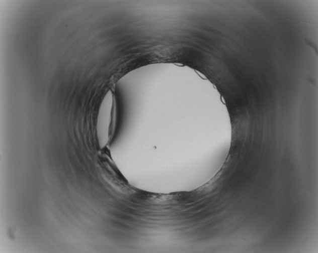 X0000098200186200805221550