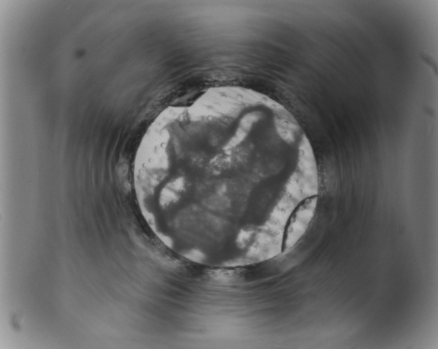 X0000098200187200805221550
