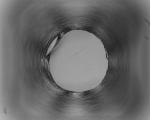 X0000098200188200805221550