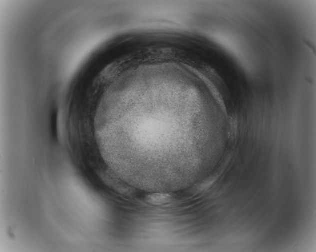 X0000098200189200805221550