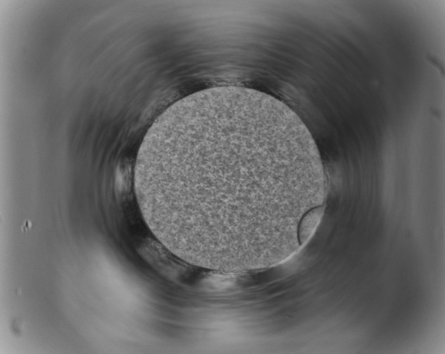 X0000098200190200805221550