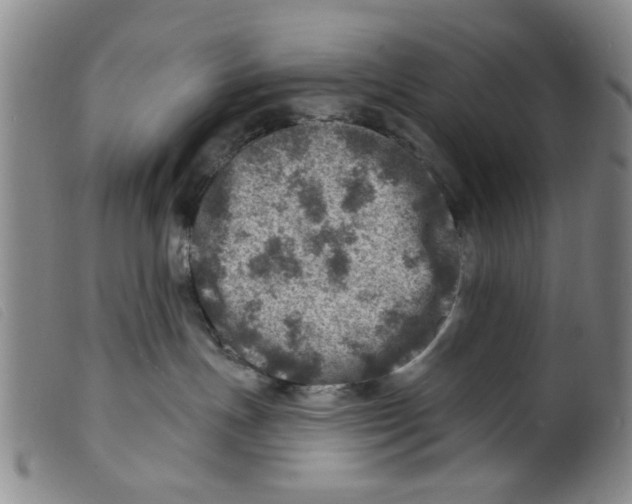 X0000098200191200805221550