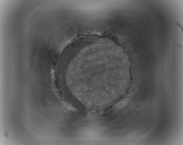 X0000098200192200805221550