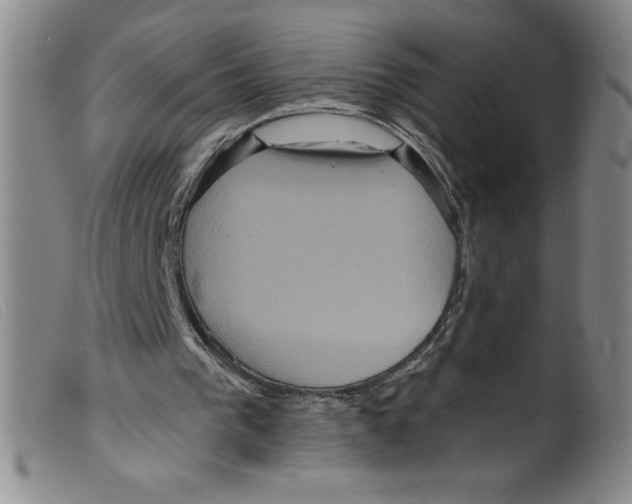 X0000098200193200805221549