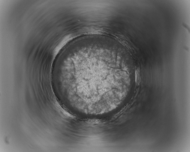 X0000098200195200805221549