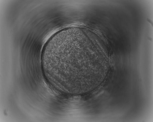 X0000098200196200805221549