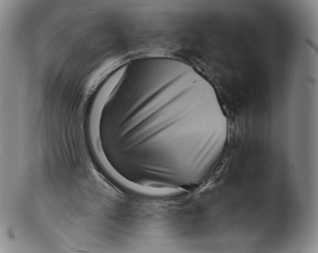 X0000098200197200805221549