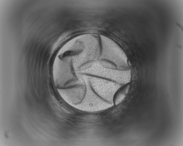 X0000098200198200805221549