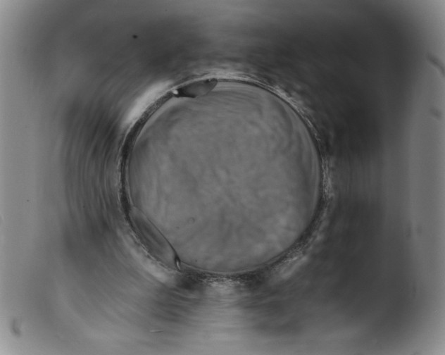 X0000098200199200805221549