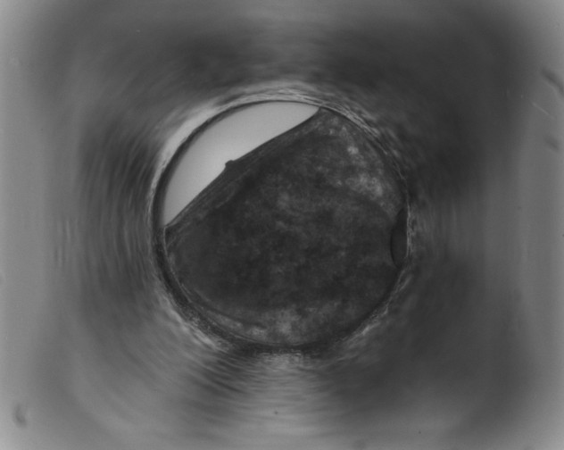 X0000098200200200805221549