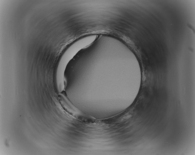 X0000098200201200805221549