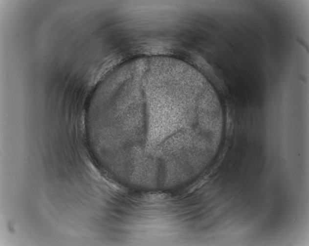 X0000098200202200805221549