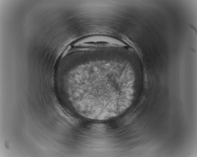 X0000098200203200805221549