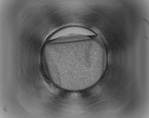 X0000098200204200805221549