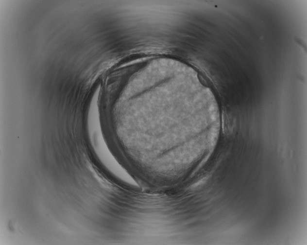 X0000098200205200805221549