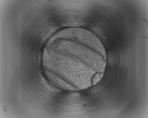 X0000098200206200805221549