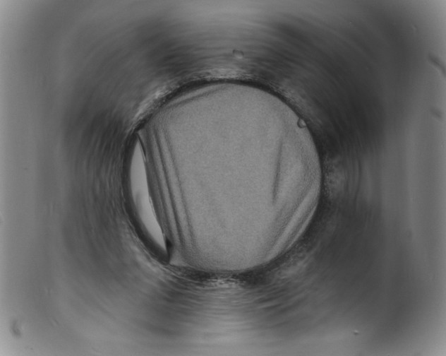 X0000098200207200805221549