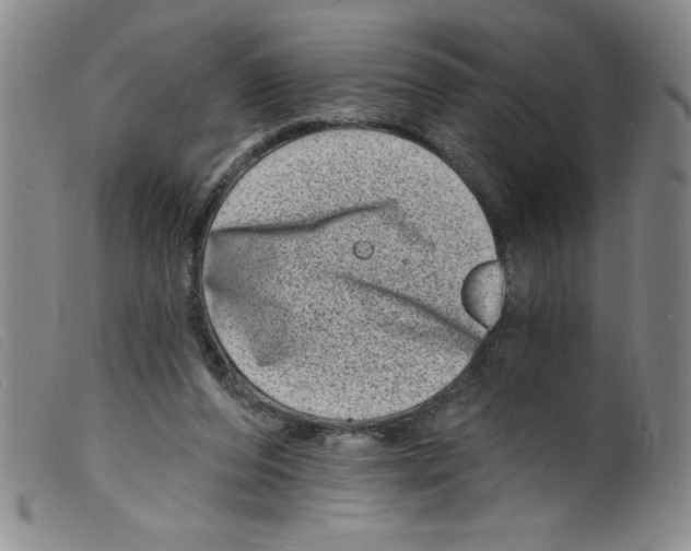 X0000098200208200805221549