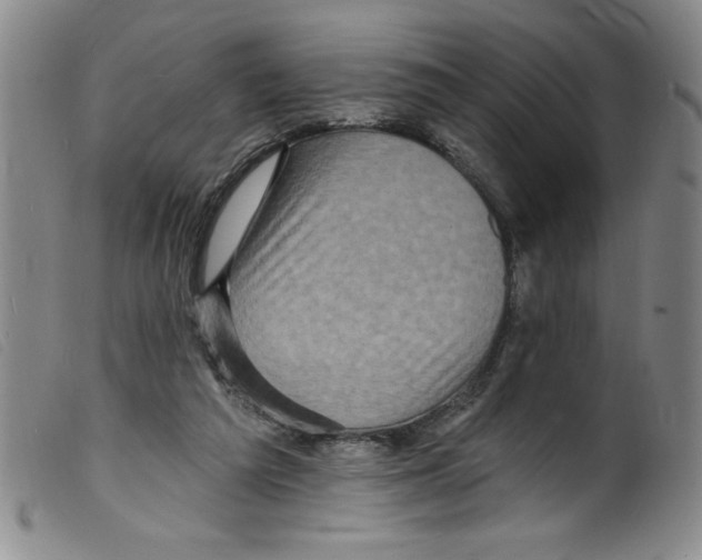 X0000098200209200805221549
