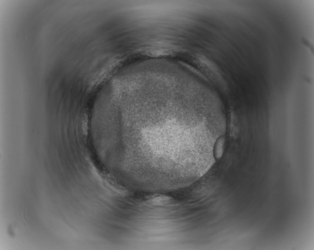 X0000098200210200805221549