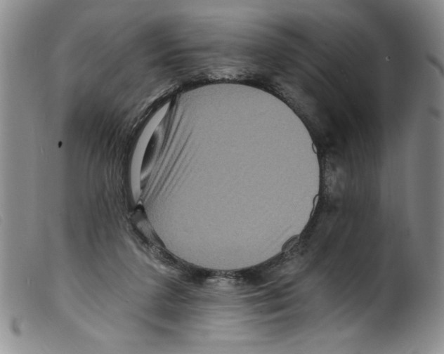 X0000098200211200805221549