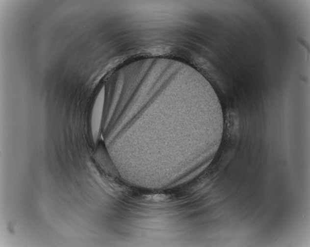 X0000098200212200805221549