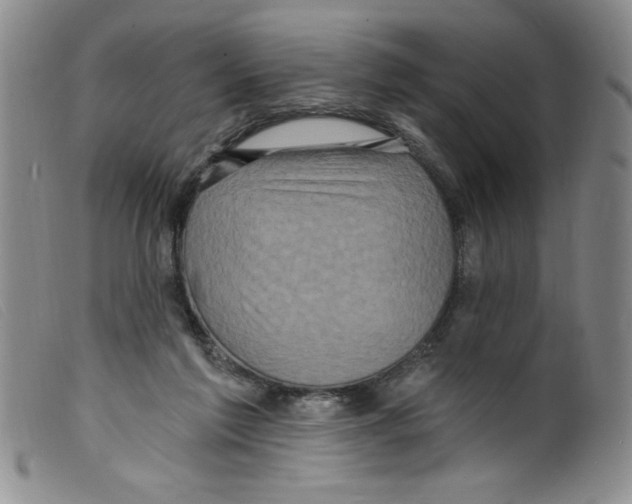 X0000098200213200805221549