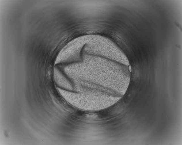 X0000098200214200805221549