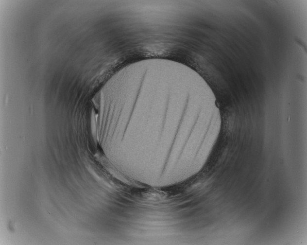 X0000098200215200805221549