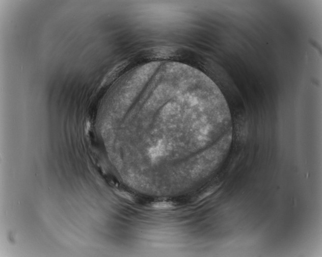 X0000098200216200805221549