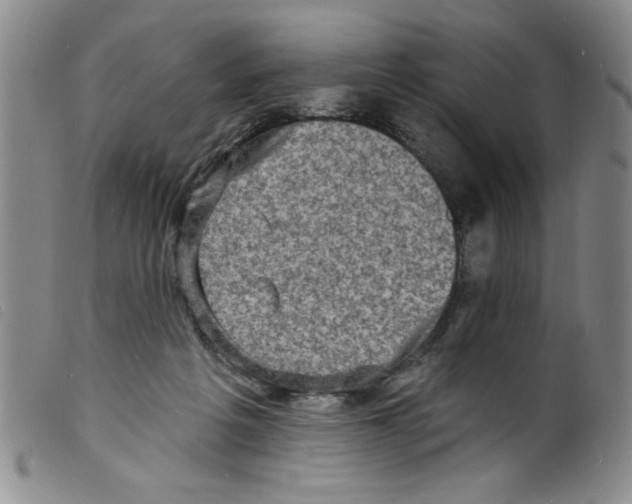 X0000098200217200805221549