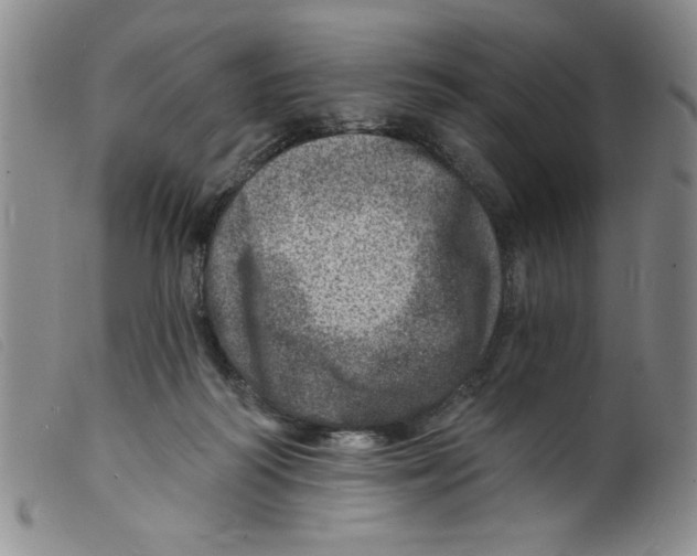 X0000098200218200805221549