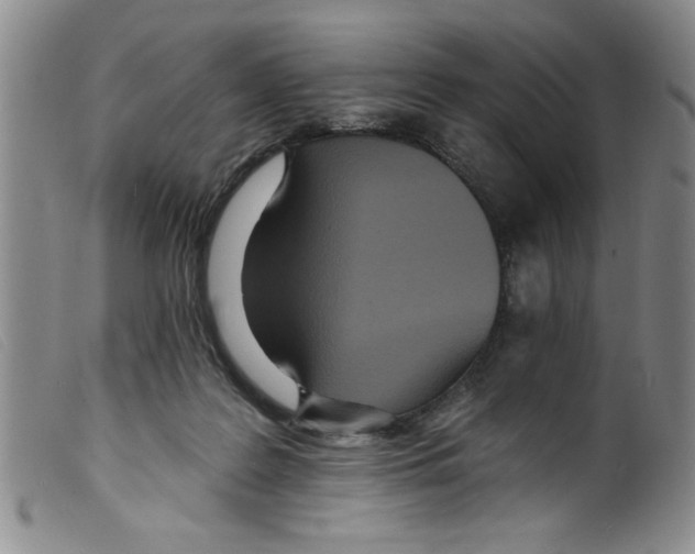 X0000098200219200805221549