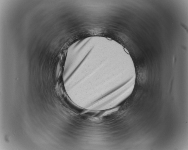 X0000098200221200805221549