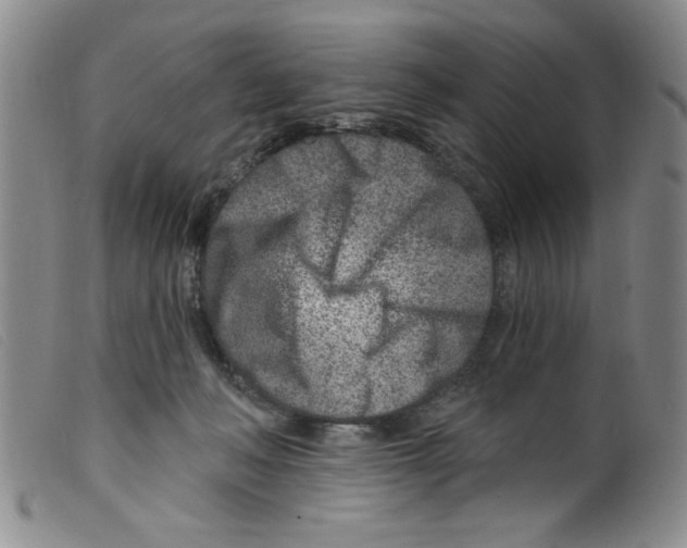 X0000098200222200805221549