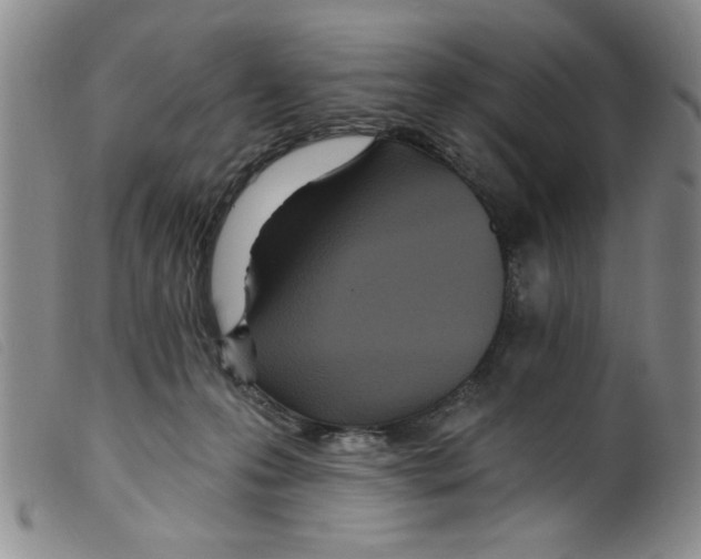 X0000098200223200805221549