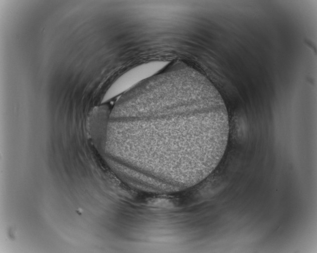 X0000098200224200805221549