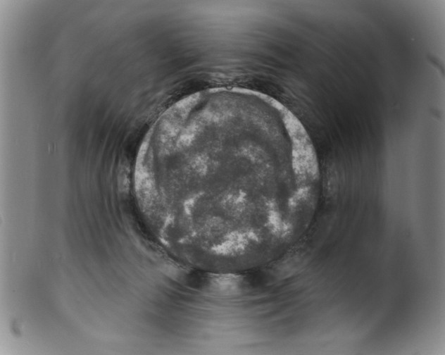 X0000098200226200805221549
