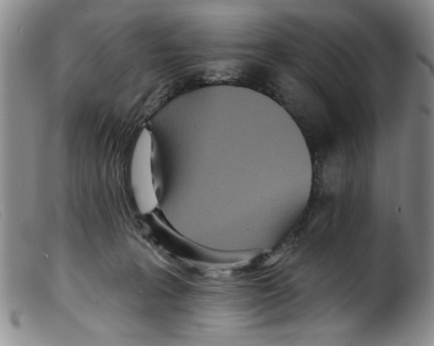 X0000098200227200805221549