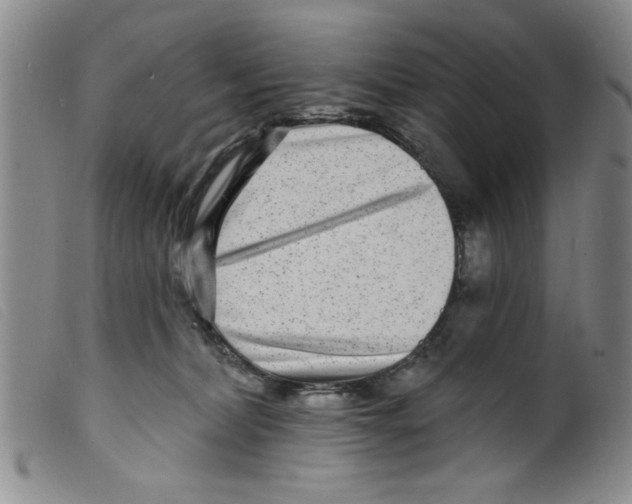 X0000098200228200805221549