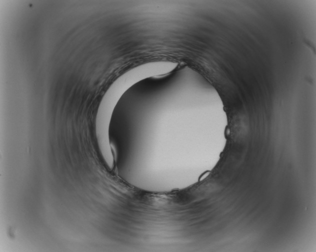 X0000098200229200805221549
