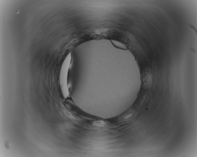 X0000098200231200805221549