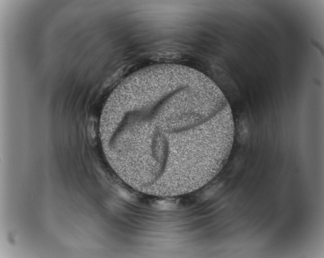 X0000098200232200805221549