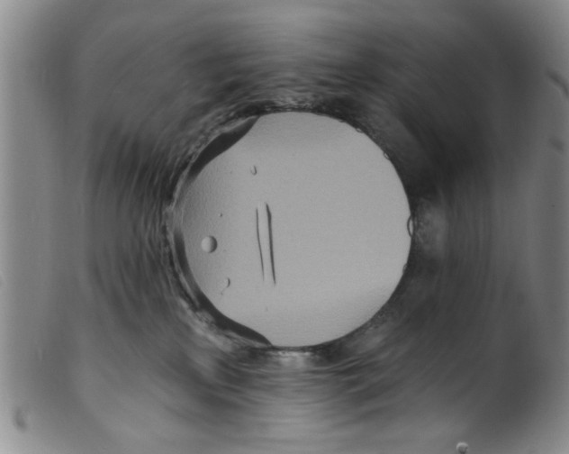 X0000098200233200805221549